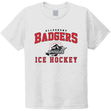 Allegheny Badgers Youth Tri-Blend Tee