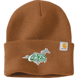 NJ Colts Carhartt Watch Cap 2.0